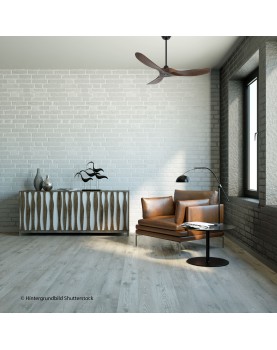 show room ventilador