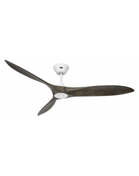 Ventilador de techo CasaFan...